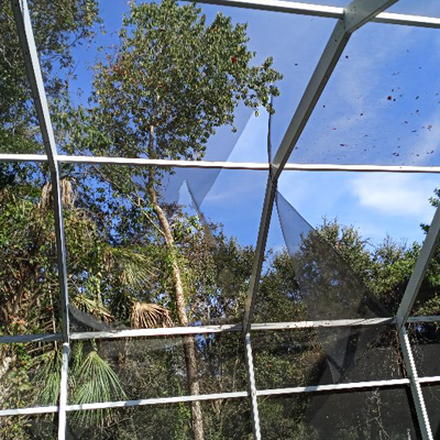 Best pool screen repair Tampa